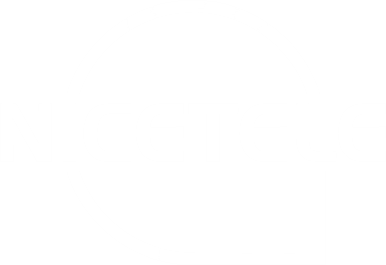 Shanghai Robust Information Technology Co., Ltd