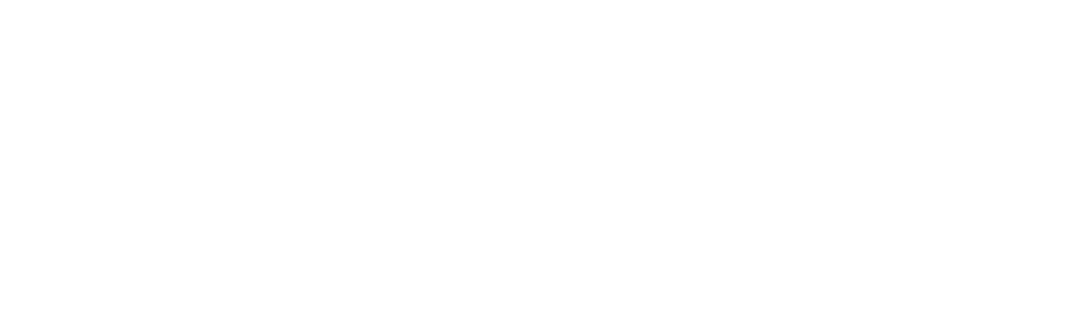 Dailo LLC